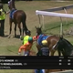 Illustration for article titled Jockey Punches His Horse, Gets Two-Week Suspension
